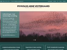 Erhvervspsykolog Arne Vestergaard